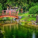 japanese-garden-wallpaper-japanese-garden-wallpaper-bedroom-ideas-garden-garden-wall-garden.com-japan-japanese-japanese-garden-japanese-garden-wallpaper-japanese-garden-wallpaper-hd